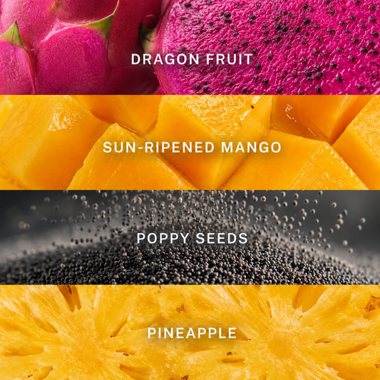 Exfoliating Soap Bars | Collection