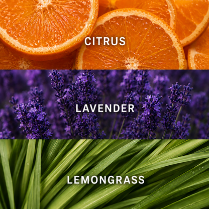 A three-panel graphic showing citrus slices labeled CITRUS, purple lavender flowers labeled LAVENDER, and green lemongrass leaves labeled LEMONGRASS.